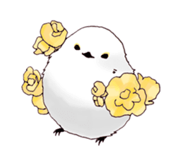 Birds live at their own pace 3. sticker #7011127