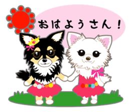 Chihuahua of Kansai dialect sticker #7011168