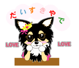 Chihuahua of Kansai dialect sticker #7011169