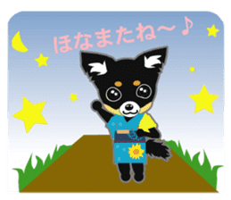 Chihuahua of Kansai dialect sticker #7011171