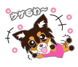 Chihuahua of Kansai dialect sticker #7011176