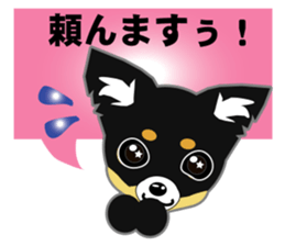 Chihuahua of Kansai dialect sticker #7011177