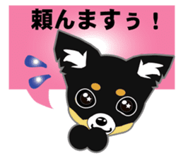 Chihuahua of Kansai dialect sticker #7011177