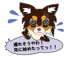 Chihuahua of Kansai dialect sticker #7011178