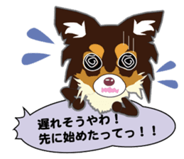 Chihuahua of Kansai dialect sticker #7011178