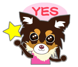 Chihuahua of Kansai dialect sticker #7011181
