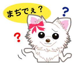 Chihuahua of Kansai dialect sticker #7011188