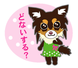 Chihuahua of Kansai dialect sticker #7011192