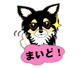 Chihuahua of Kansai dialect sticker #7011202