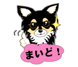 Chihuahua of Kansai dialect sticker #7011202