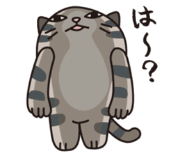 Cat Stickers by FELISSIMO CAT CLUB sticker #7012413