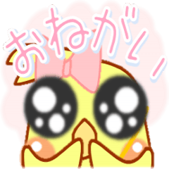 Everyday use cute nymphicus hollandicus