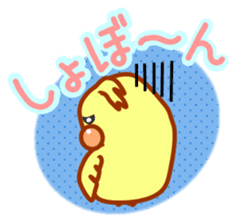 Everyday use cute nymphicus hollandicus sticker #7014827