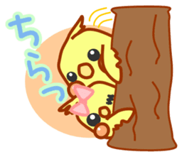 Everyday use cute nymphicus hollandicus sticker #7014831