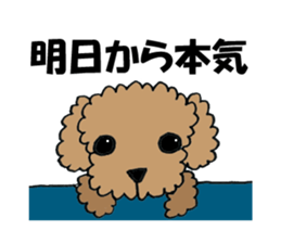 LOVE LOVE Toy poodle sticker #7017738