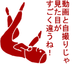 THE HONEST PERSONS sticker #7020968