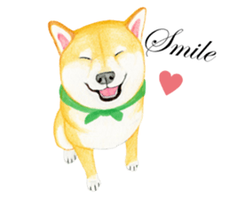 Shiba Sticker 2 (English) sticker #7021688