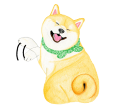 Shiba Sticker 2 (English) sticker #7021690