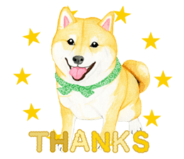 Shiba Sticker 2 (English) sticker #7021691