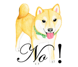Shiba Sticker 2 (English) sticker #7021693