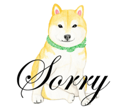 Shiba Sticker 2 (English) sticker #7021694