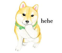 Shiba Sticker 2 (English) sticker #7021696