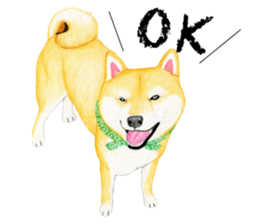 Shiba Sticker 2 (English) sticker #7021702