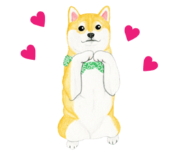 Shiba Sticker 2 (English) sticker #7021704