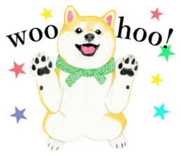 Shiba Sticker 2 (English) sticker #7021706