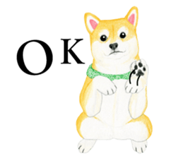 Shiba Sticker 2 (English) sticker #7021713