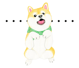 Shiba Sticker 2 (English) sticker #7021714