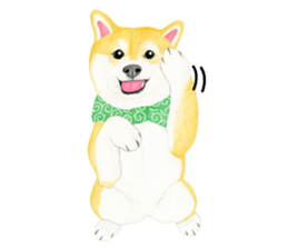 Shiba Sticker 2 (English) sticker #7021715