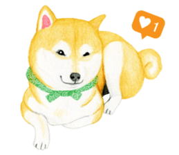 Shiba Sticker 2 (English) sticker #7021719