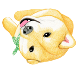 Shiba Sticker 2 (English) sticker #7021721