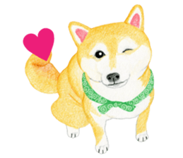 Shiba Sticker 2 (English) sticker #7021722