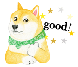 Shiba Sticker 2 (English) sticker #7021723