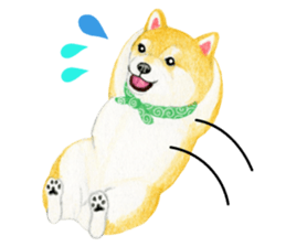 Shiba Sticker 2 (English) sticker #7021724