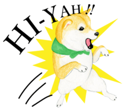Shiba Sticker 2 (English) sticker #7021726