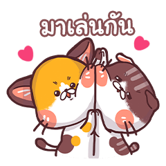 Mon Thong - The hilarious Cat