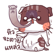 Mon Thong - The hilarious Cat sticker #7021870