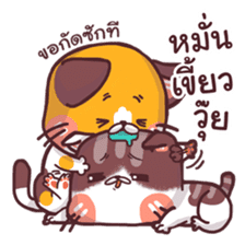 Mon Thong - The hilarious Cat sticker #7021881