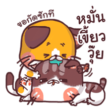 Mon Thong - The hilarious Cat sticker #7021881