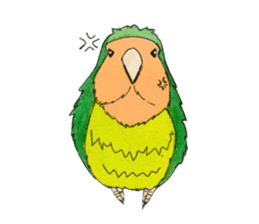 Everyday lovebird sticker #7024576