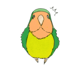 Everyday lovebird sticker #7024582