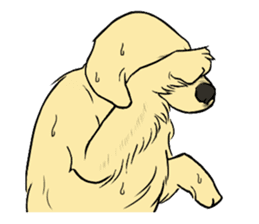 Expressive Golden Retriever 2 in English sticker #7025579