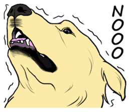 Expressive Golden Retriever 2 in English sticker #7025580