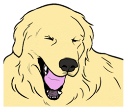 Expressive Golden Retriever 2 in English sticker #7025585