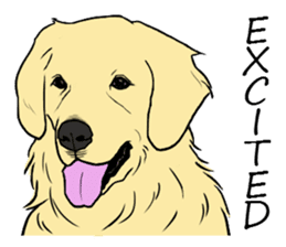 Expressive Golden Retriever 2 in English sticker #7025587