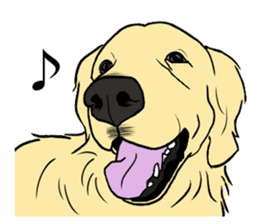Expressive Golden Retriever 2 in English sticker #7025589