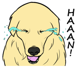 Expressive Golden Retriever 2 in English sticker #7025596